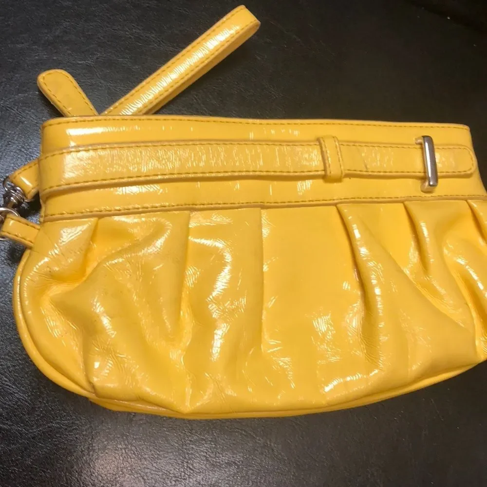 Coldwater Creek Clutch